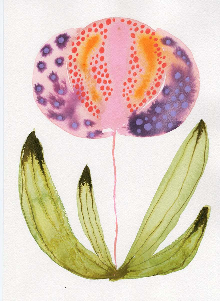 Single Flower Botanical by kelly mccallum 