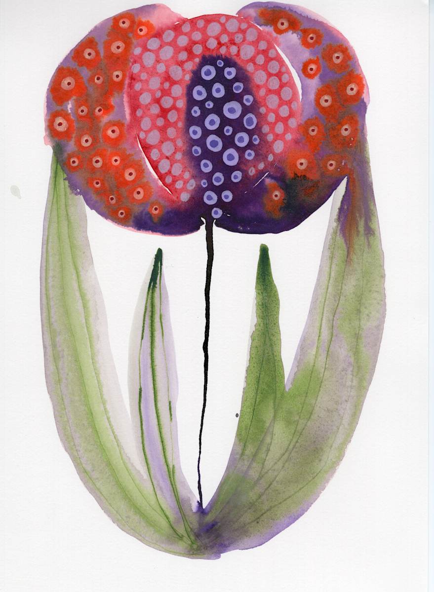 Single Flower Botanical by kelly mccallum 
