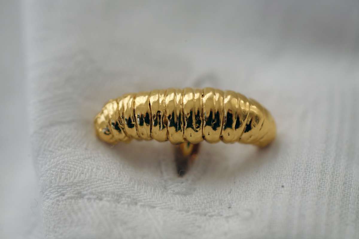 Maggot Cufflinks by kelly mccallum 