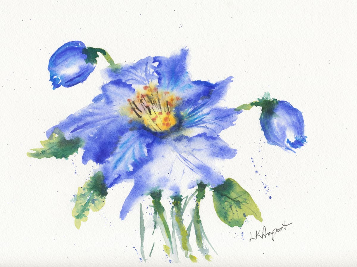 Blue Poppy by Lisa Amport 