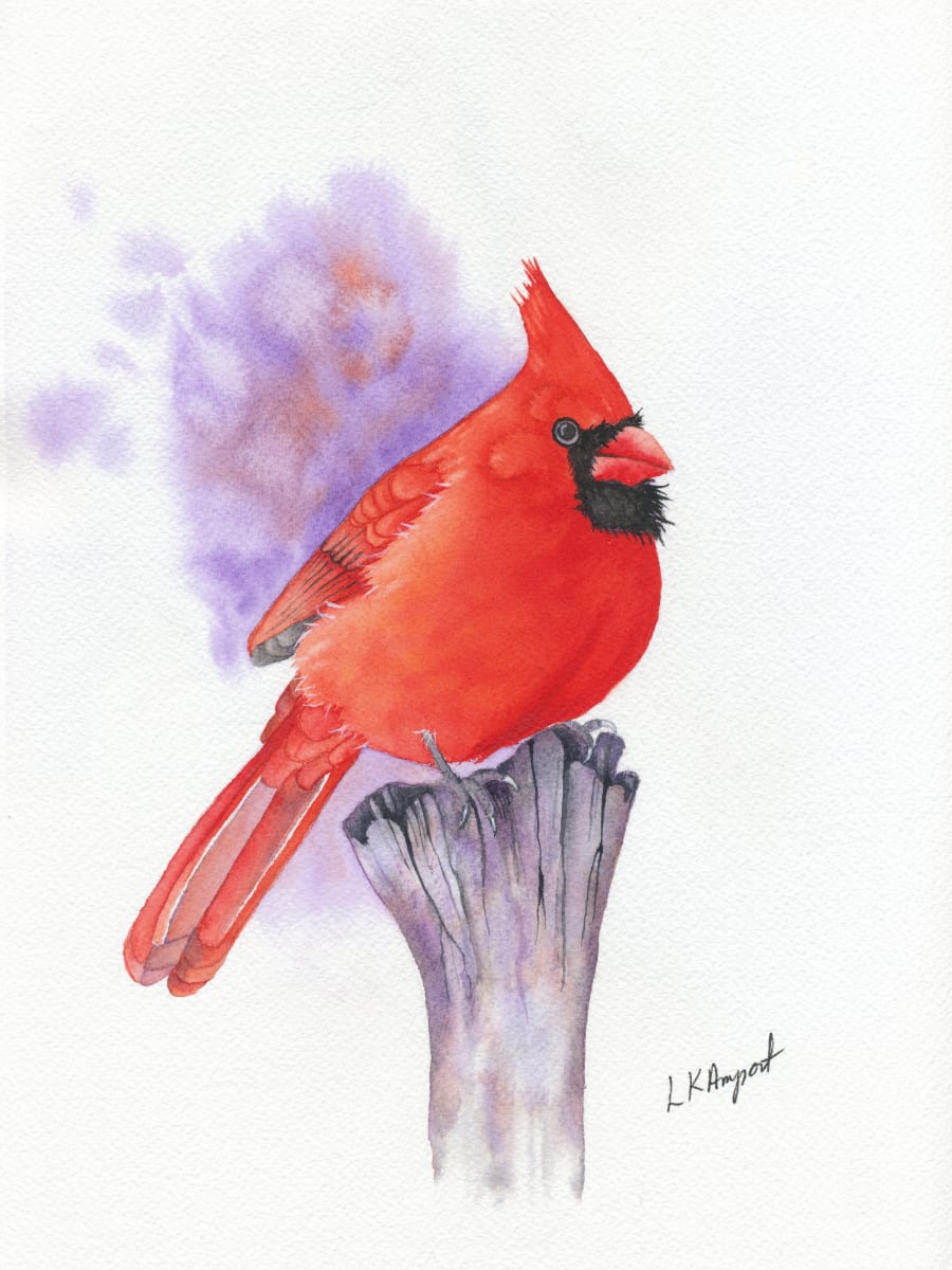 Cardinal by Lisa Amport 