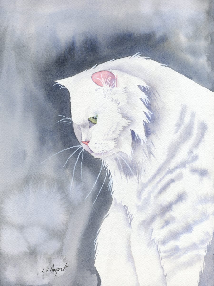 Cat Looking Down by Lisa Amport 