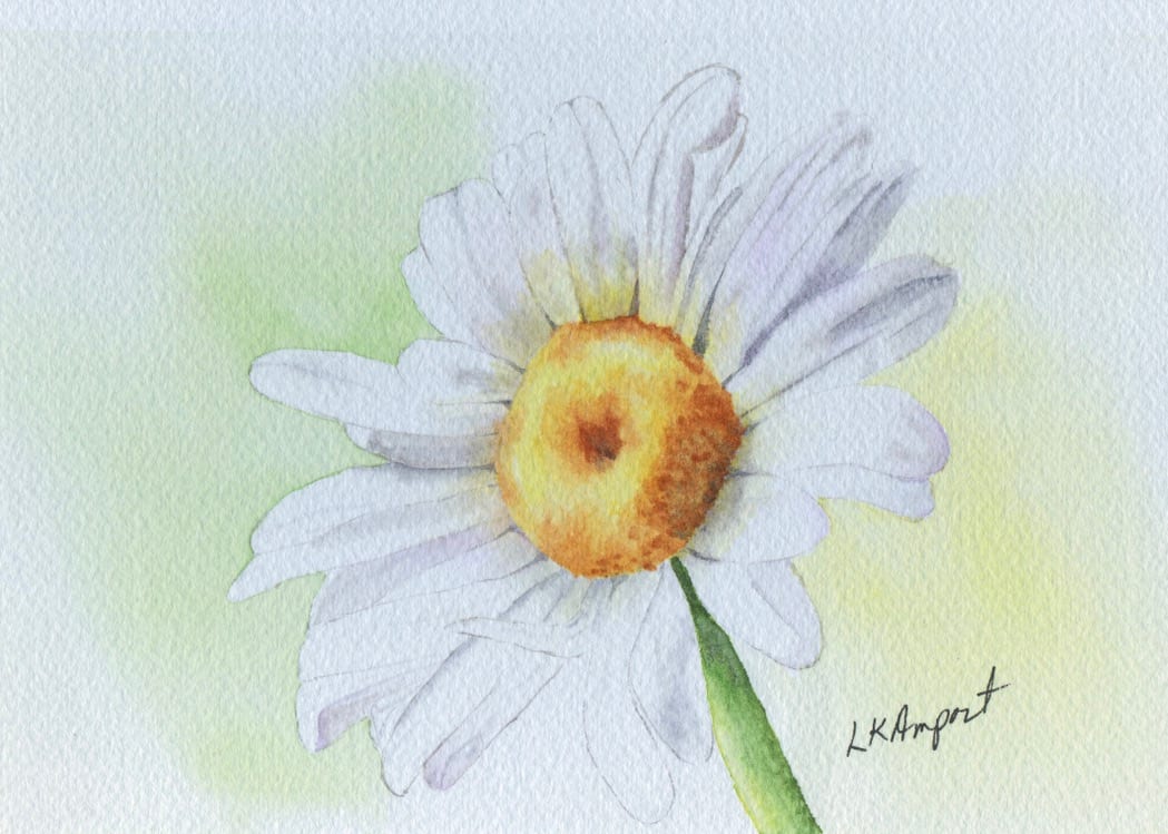 White Daisy by Lisa Amport 