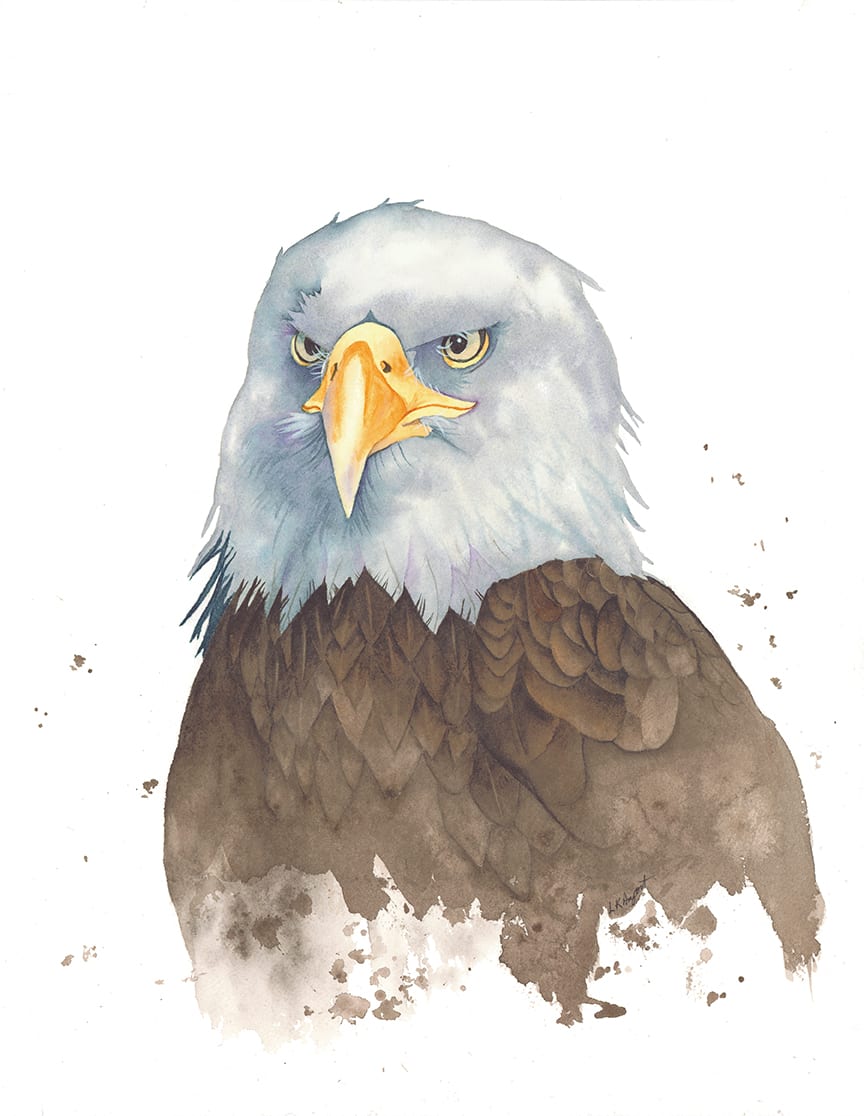 Eagle by Lisa Amport  Image: This watercolor eagle is framed without a mat
