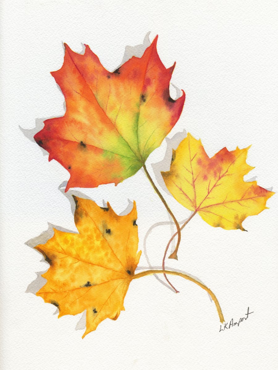 Leaves by Lisa Amport 