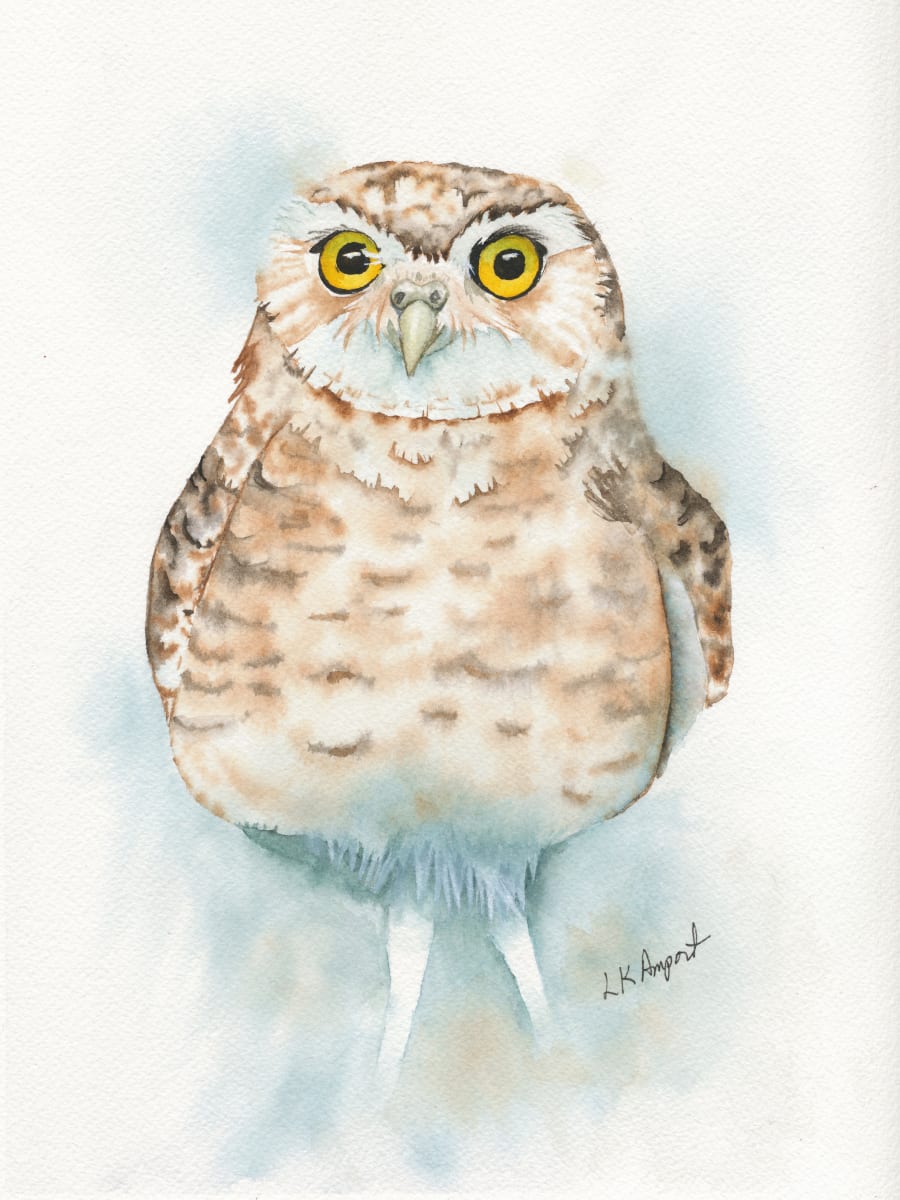 Little Owl by Lisa Amport 