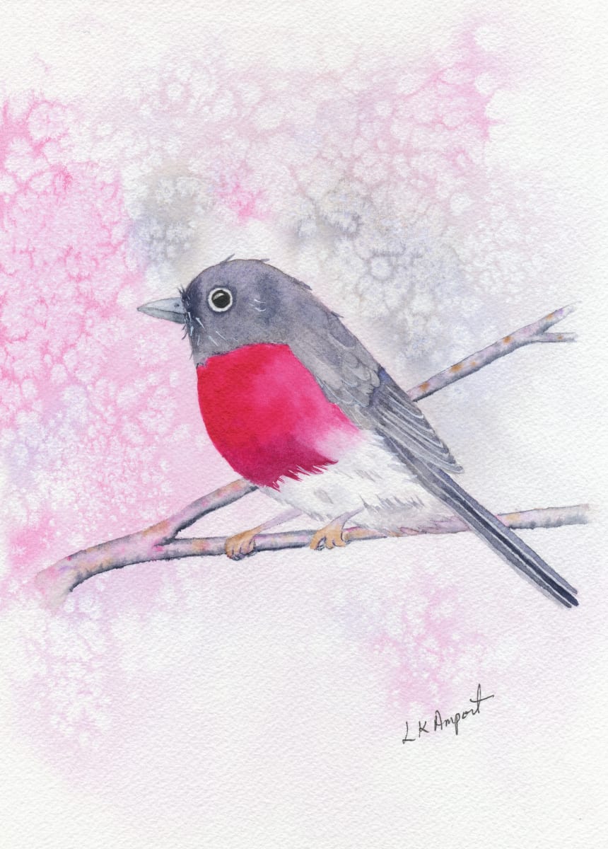 Rose Robin 2 by Lisa Amport 