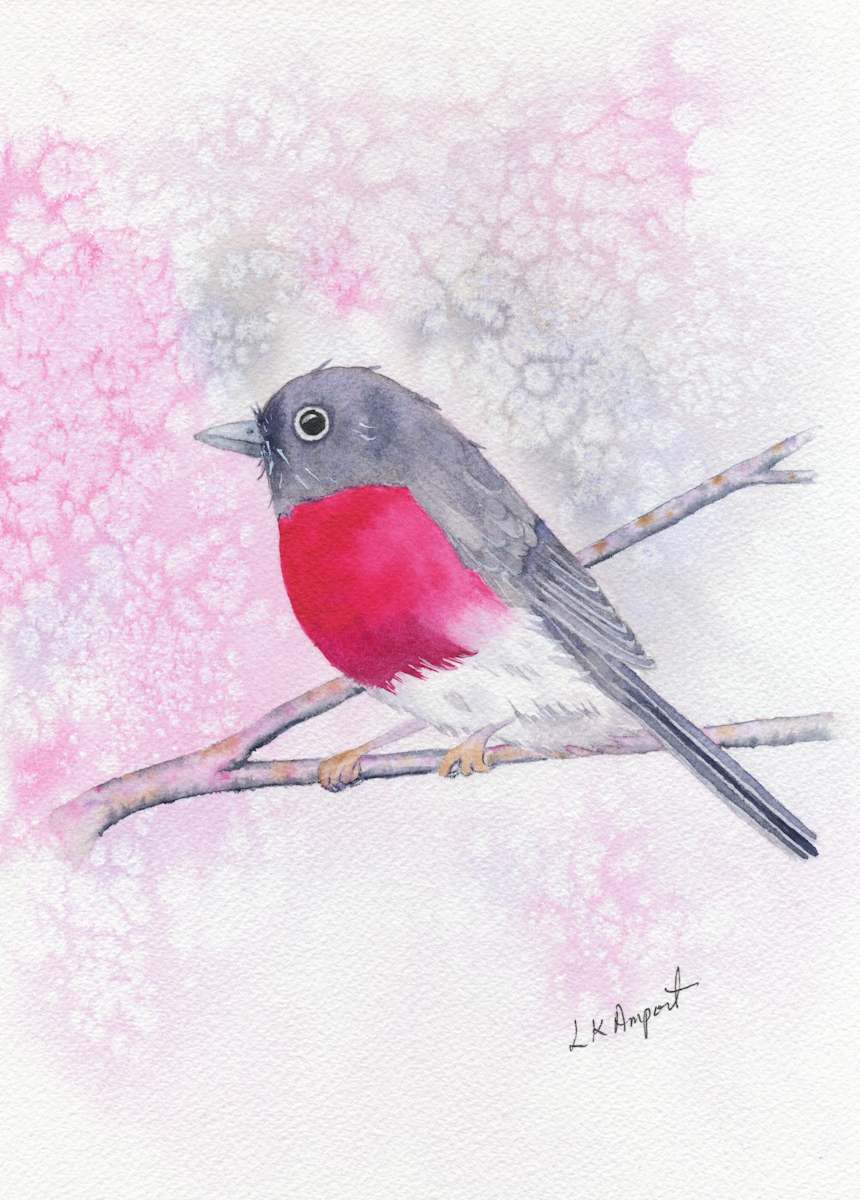 Rose Robin 2 by Lisa Amport, Image 1.