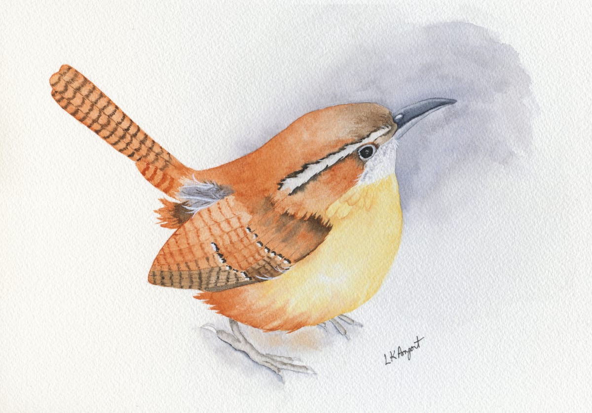 Carolina Wren 1 by Lisa Amport 