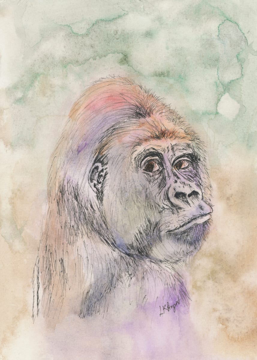 Gorilla by Lisa Amport 