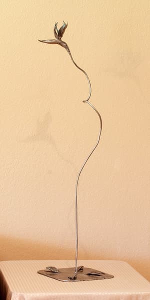 Bird of Paradise by Dick Bixler 