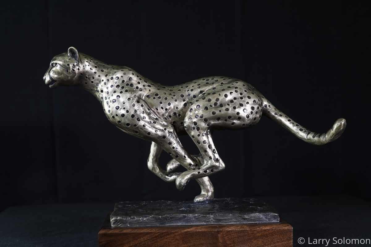 Cheetah by Larry Solomon, Image 2.