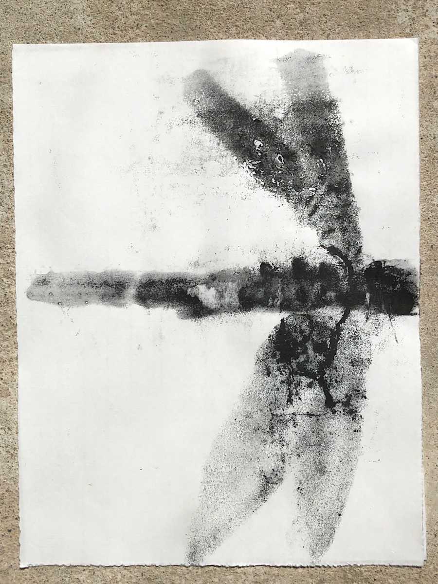 Dragonfly by Stephane Dube 