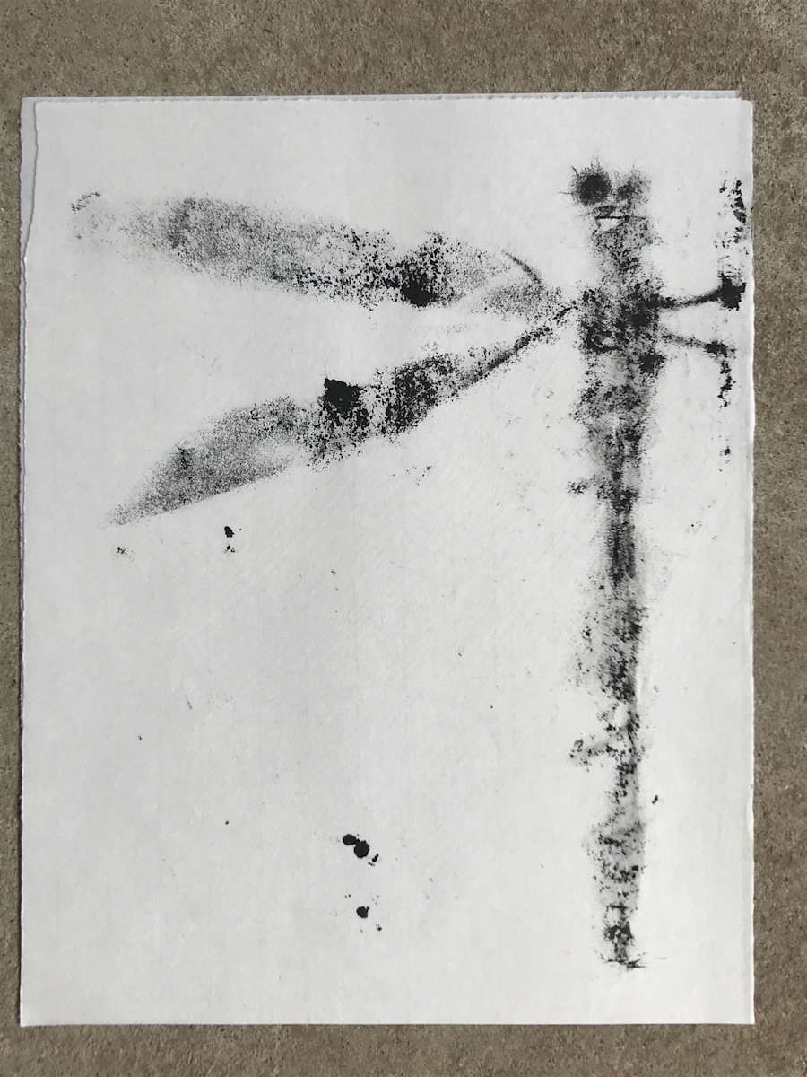 Dragonfly by Stephane Dube 