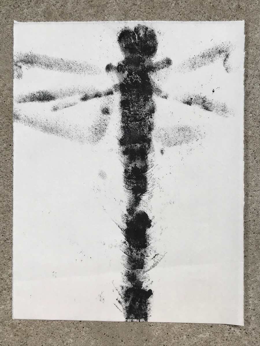 Dragonfly 4-10 by Stephane Dube 