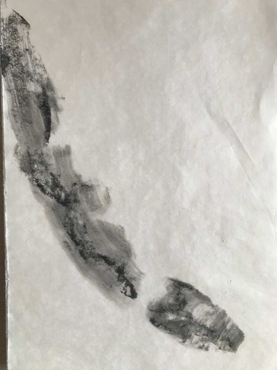 Dead snake by Stephane Dube 