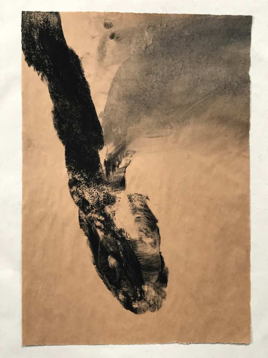 Dead snake by Stephane Dube 