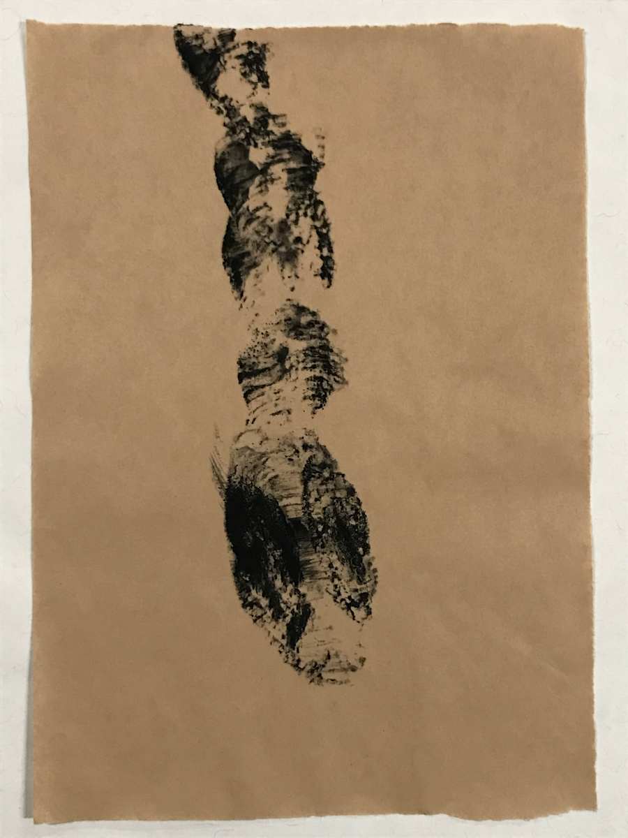 Dead snake by Stephane Dube 