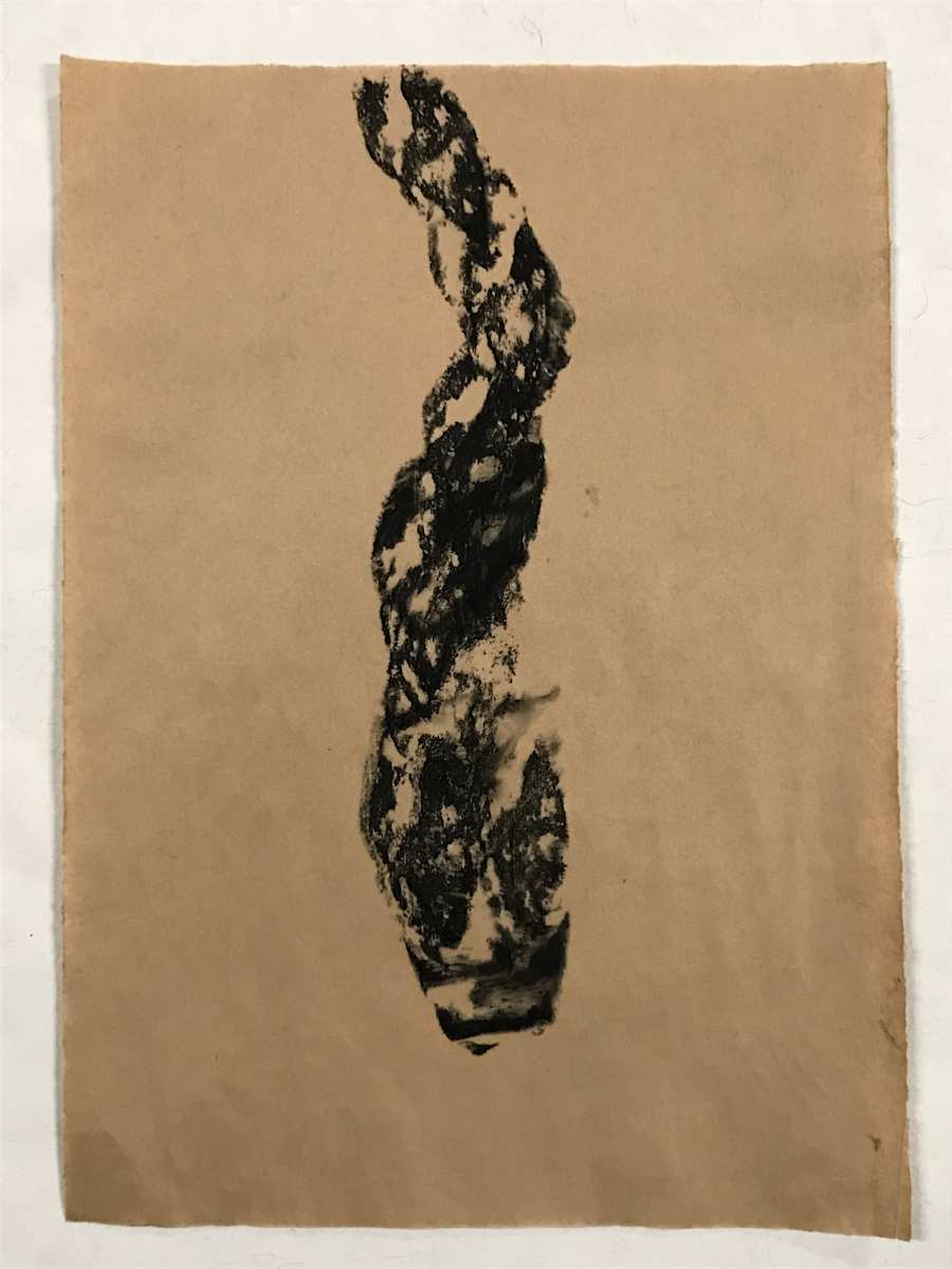 Dead snake by Stéphane Dubé, Image 1.