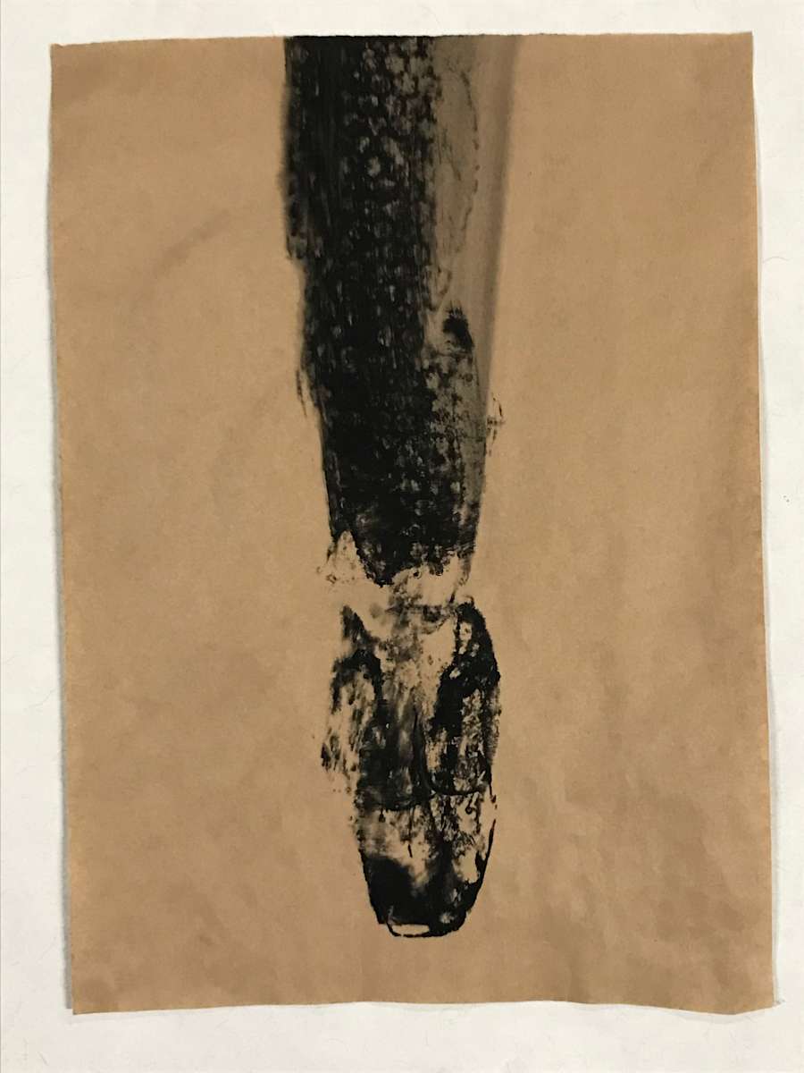 Dead snake by Stéphane Dubé, Image 1.