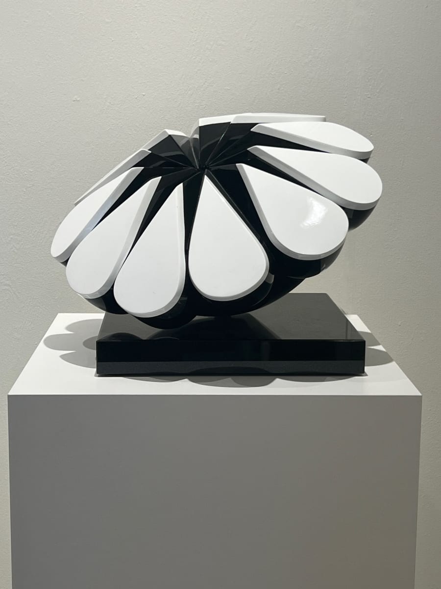 Eleven: Black/White by Nancy Ilg 