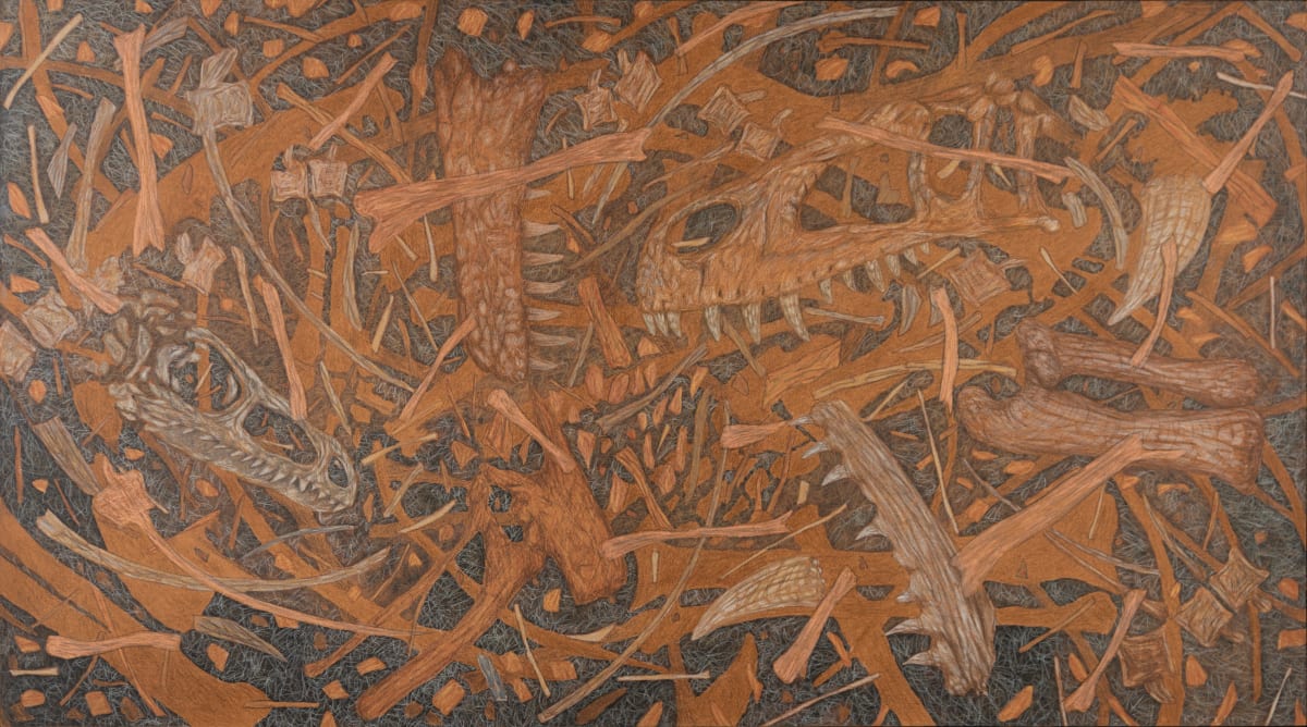 Dinosaur Bones by Richard Michael Delaney  Image: Idealized drawing of a dinosaur bonebed. 