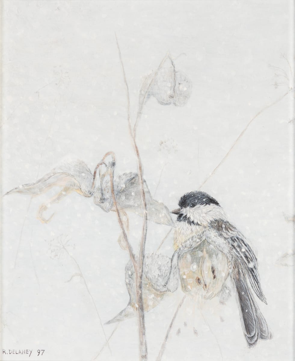 Chickadee #2 by Richard Michael Delaney  Image: Painting created from memory, imagination, and actual milkweed & bird specimens. 