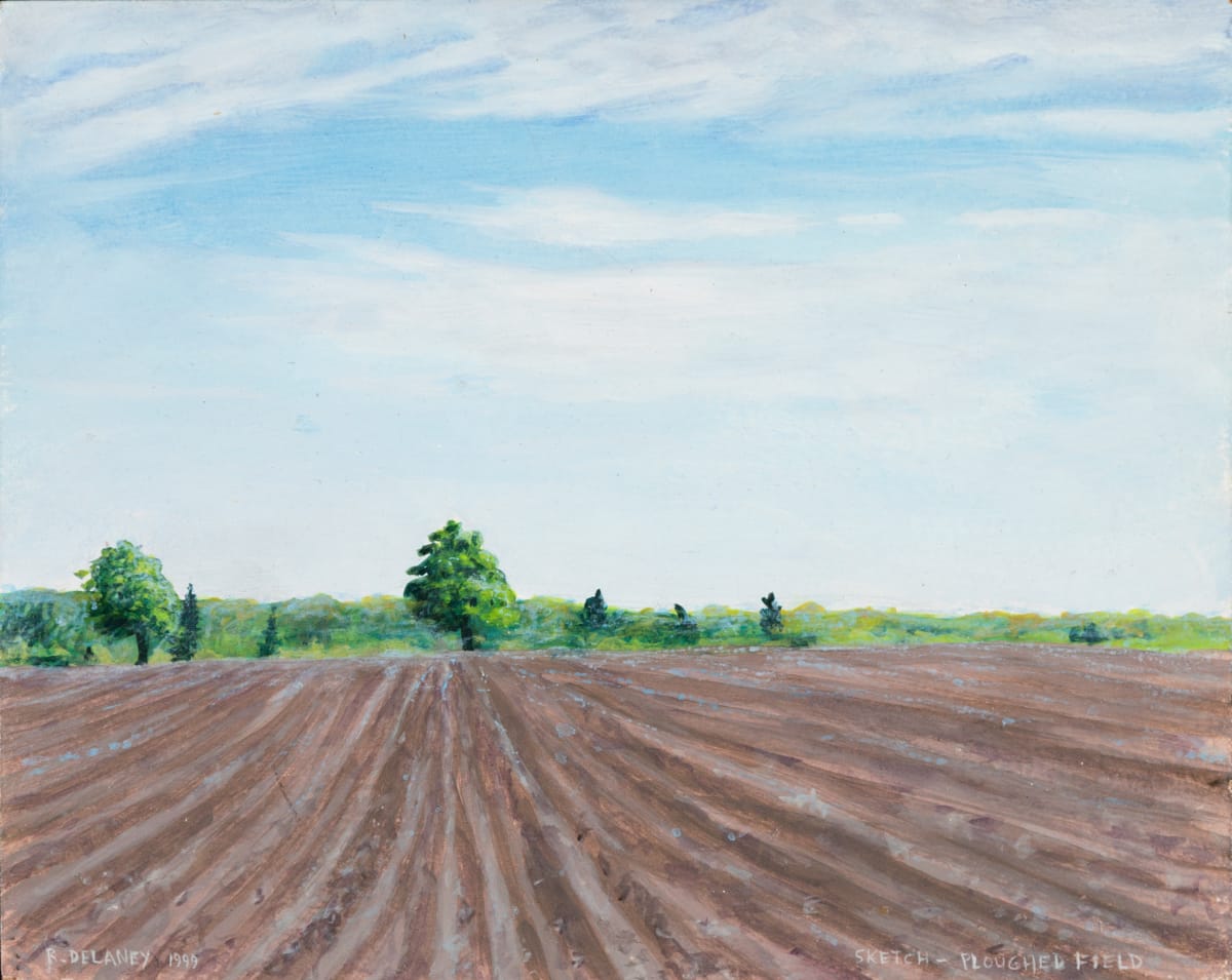 Ploughed Field by Richard Michael Delaney  Image: En plein air study, Southern Ontario, farmland. 