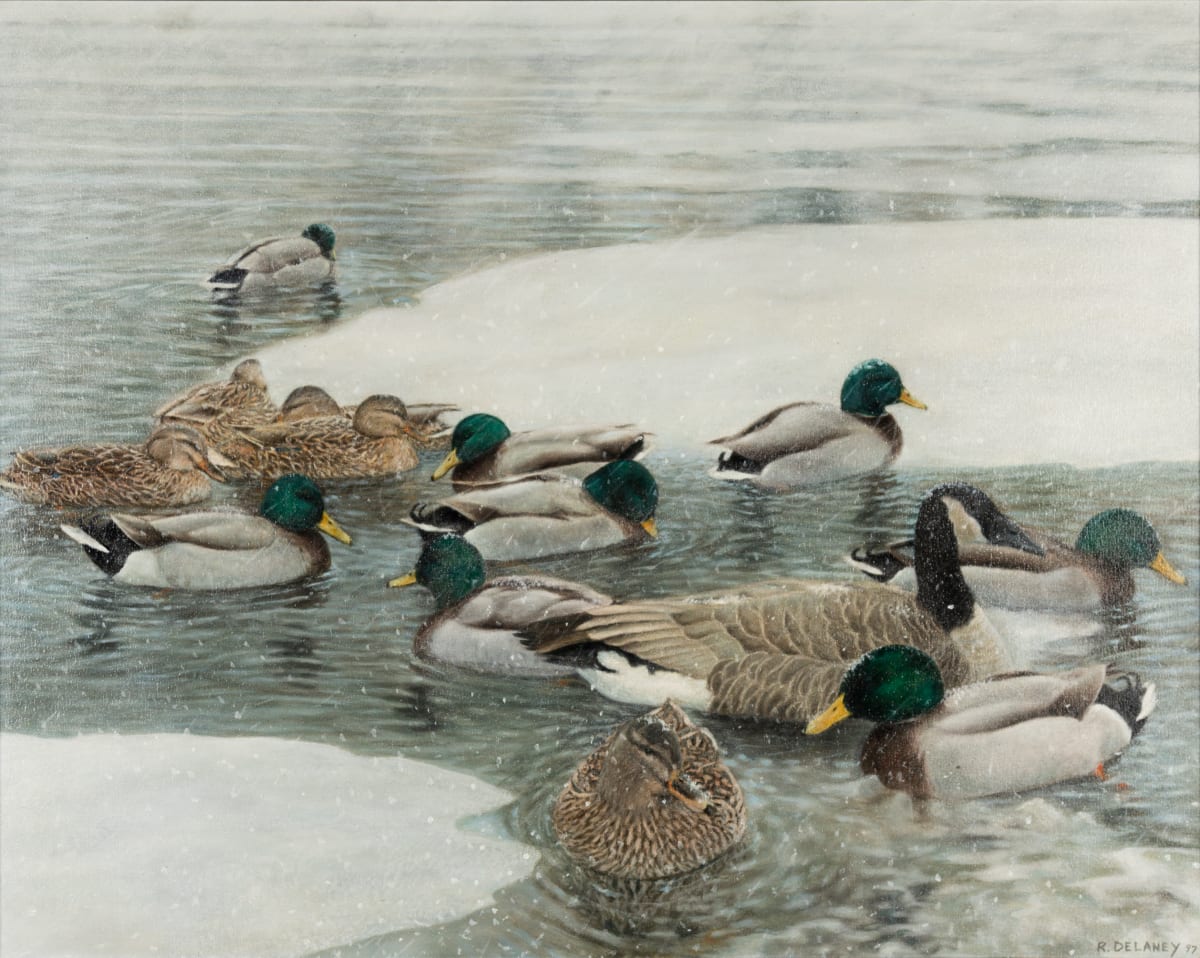 Ducks and Goose in Winter by Richard Michael Delaney 