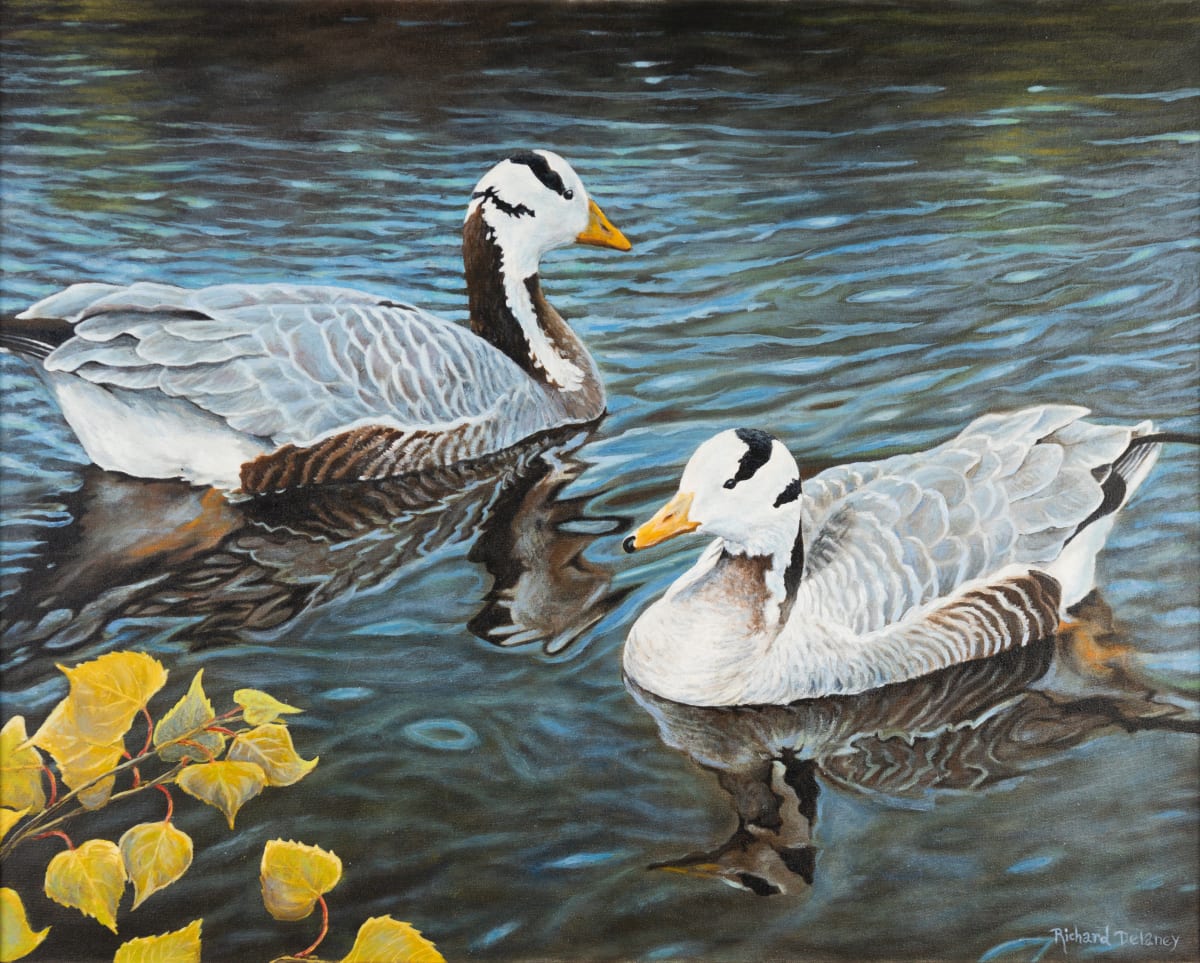 Bar-Headed Geese by Richard Michael Delaney 