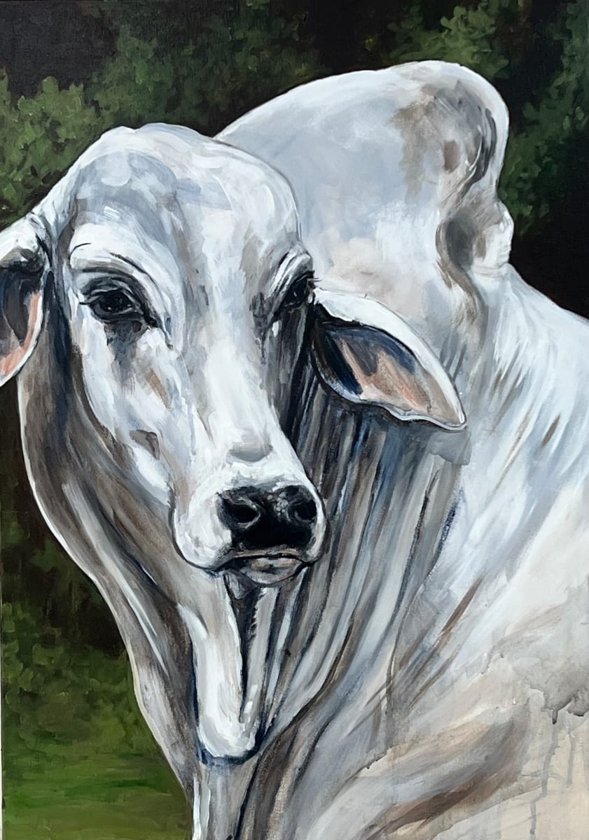 Righto Bossco by Emma Ward 