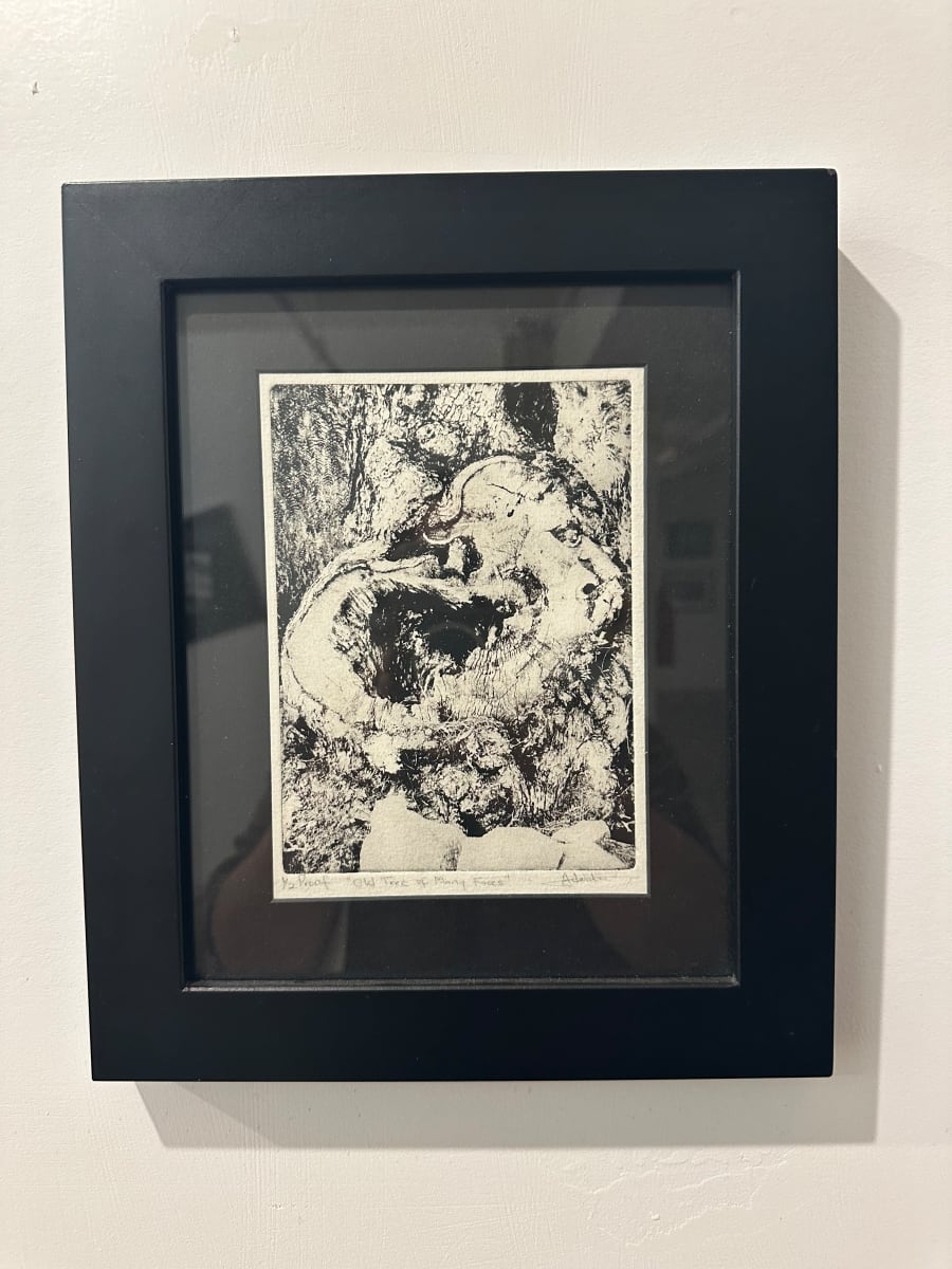 Old Tree with Many Faces by Adeola Davies-Aiyeloja 