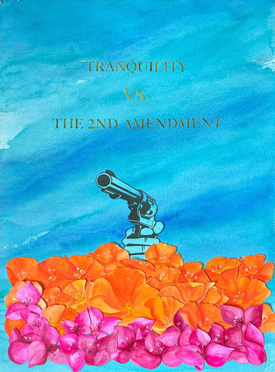 Tranquility Vs. The Second Amendment by Lisa Tomczeszyn, Image 1.