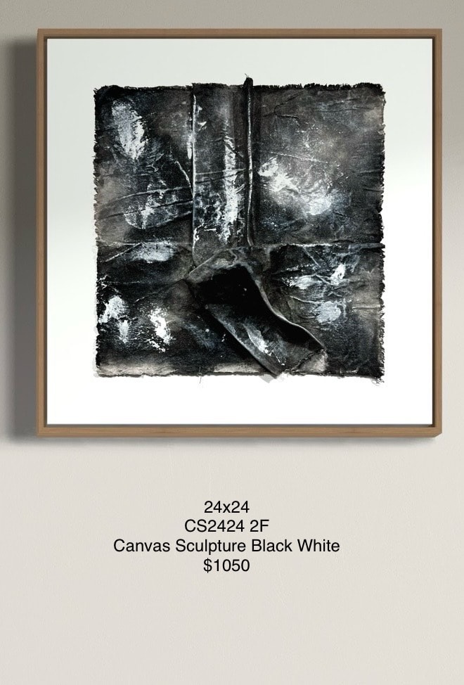 CS2424 2F Canvas Sculpture Black White by Michael Denny Art 