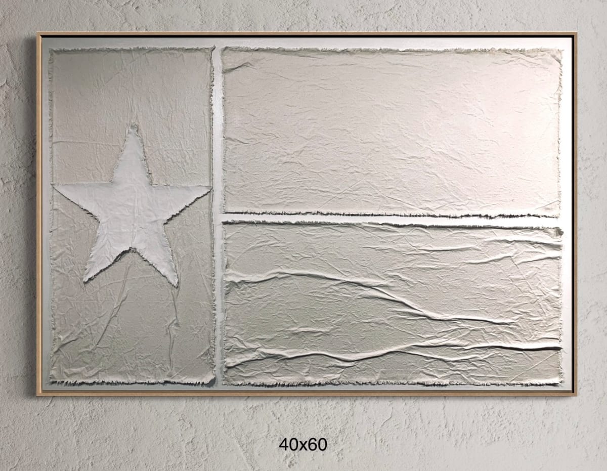 Flags TX F4060 A by Michael Denny Art 