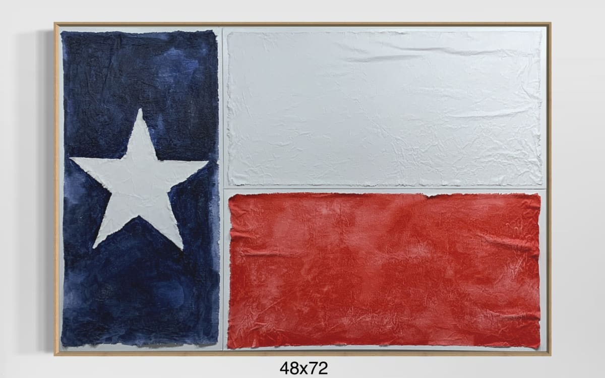 Flags TX F4872 A by Michael Denny Art 