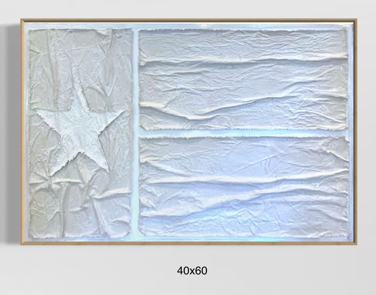 Flags TX F4060 B by Michael Denny Art, Image 1.