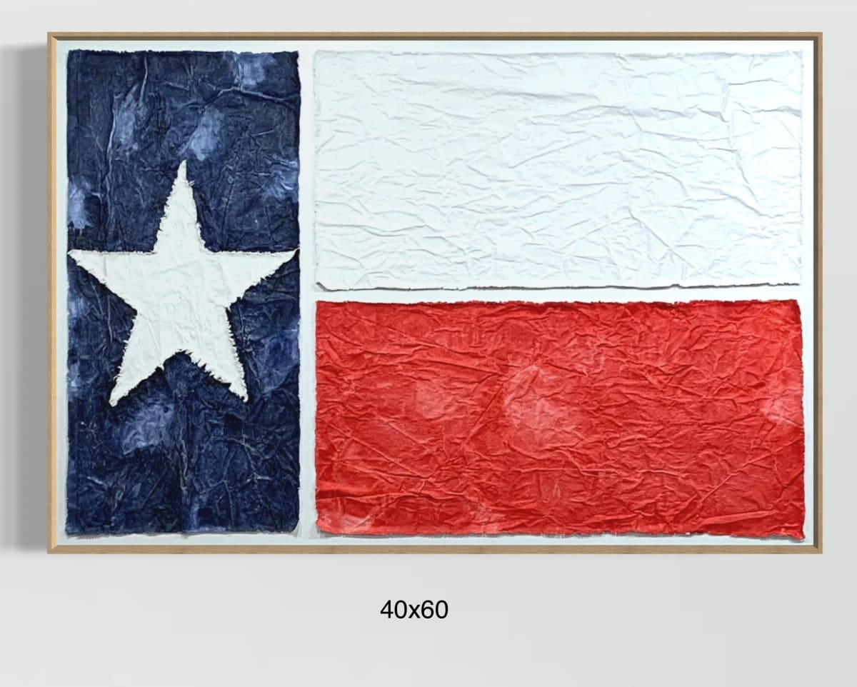 Flags TX F4060 C by Michael Denny Art 