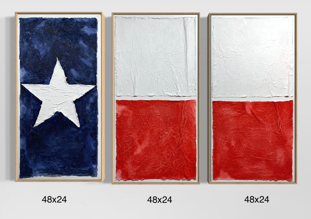 Flags TX Triptych F4872 B by Michael Denny Art 