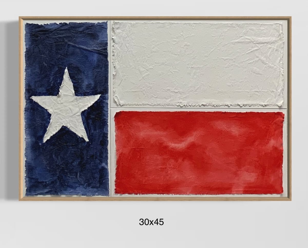 Flags TX F3045 B by Michael Denny Art 
