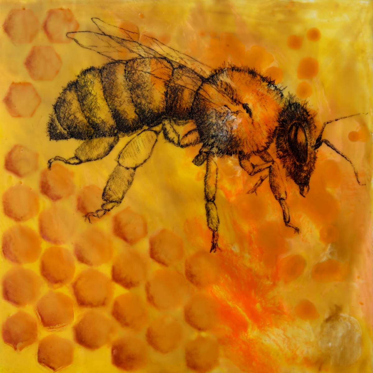 Bees 3 by Carrie Baxter, Image 1.