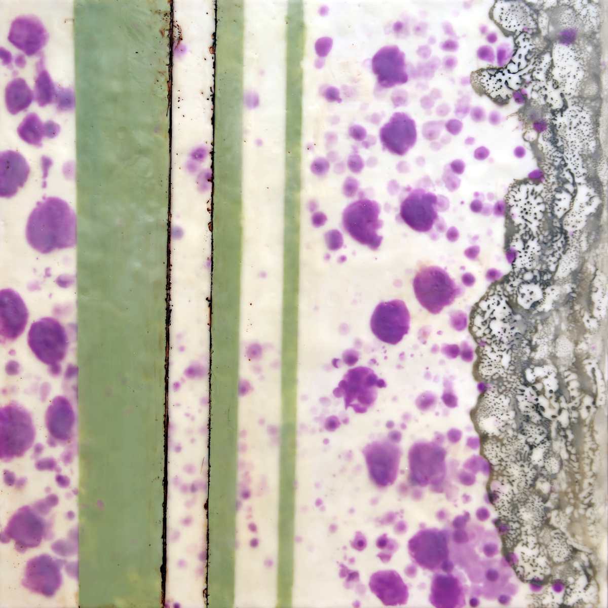 Cellular 02B by Carrie Baxter, Image 4.