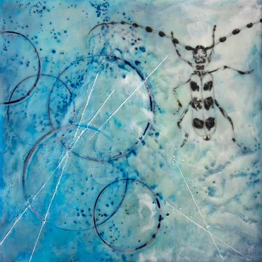 Rosalia Longicorn 2 by Carrie Baxter 
