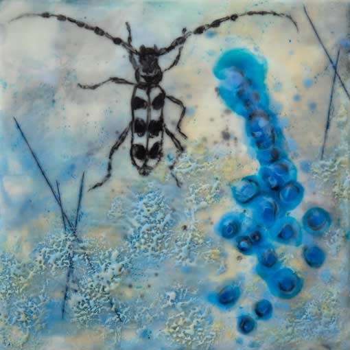 Rosalia Longicorn 3 by Carrie Baxter 