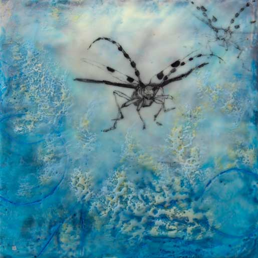 Rosalia Longicorn 4 by Carrie Baxter 