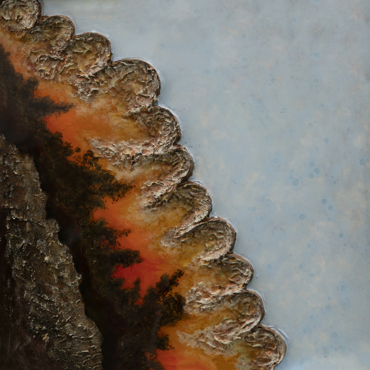 Scalloped Edge by Carrie Baxter 