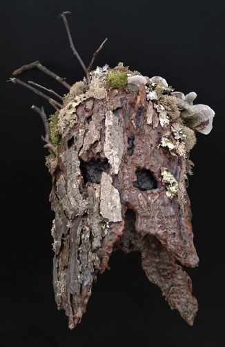 Sentient by Carrie Baxter, Image 1.