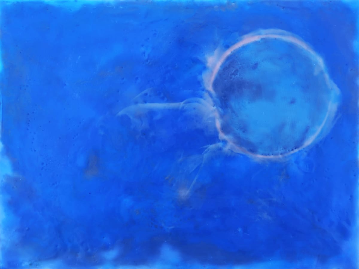 Total Solar Eclipse 2024_D (Carmel, IN) by Carrie Baxter, Image 1.