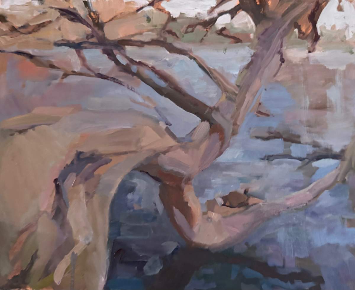 The Turtle and the Tree by Ellen Parker Bibb, Image 1.