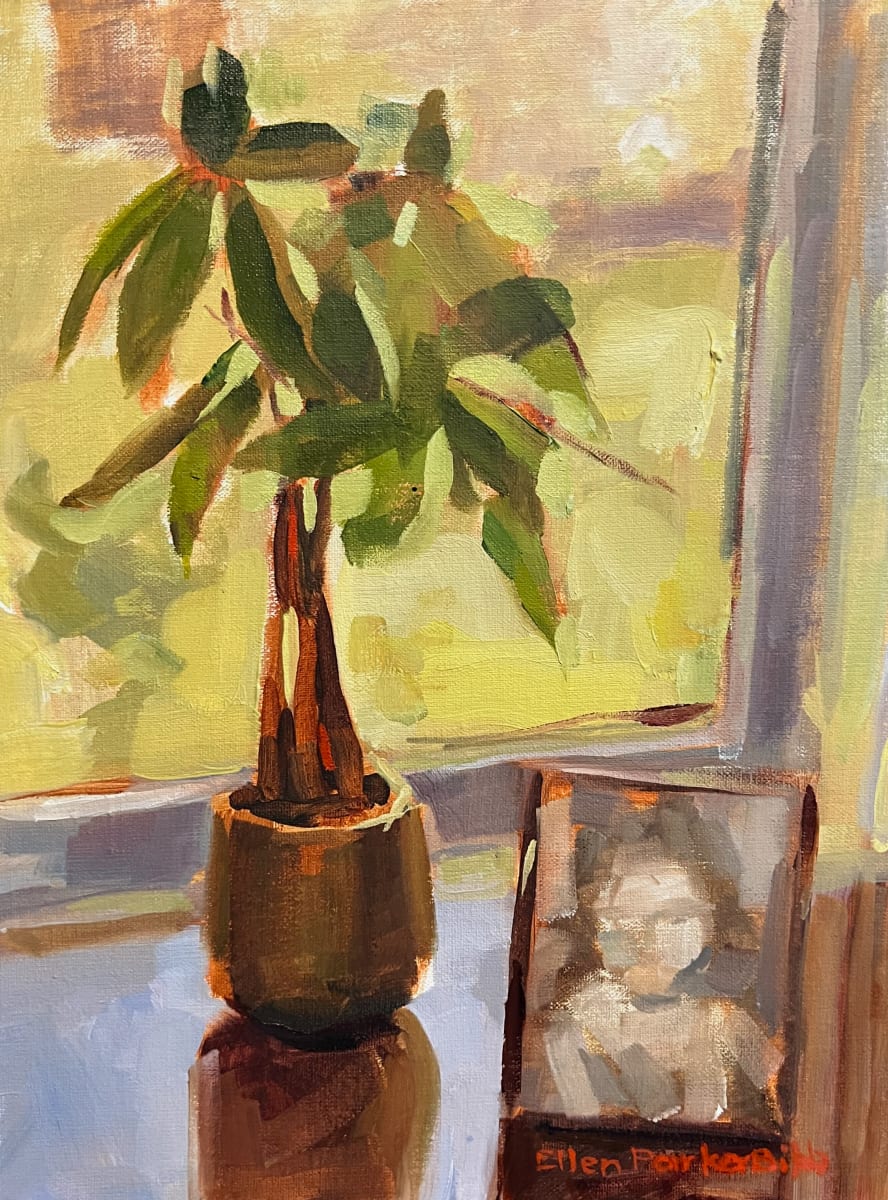 Embracing Light by Ellen Bibb 